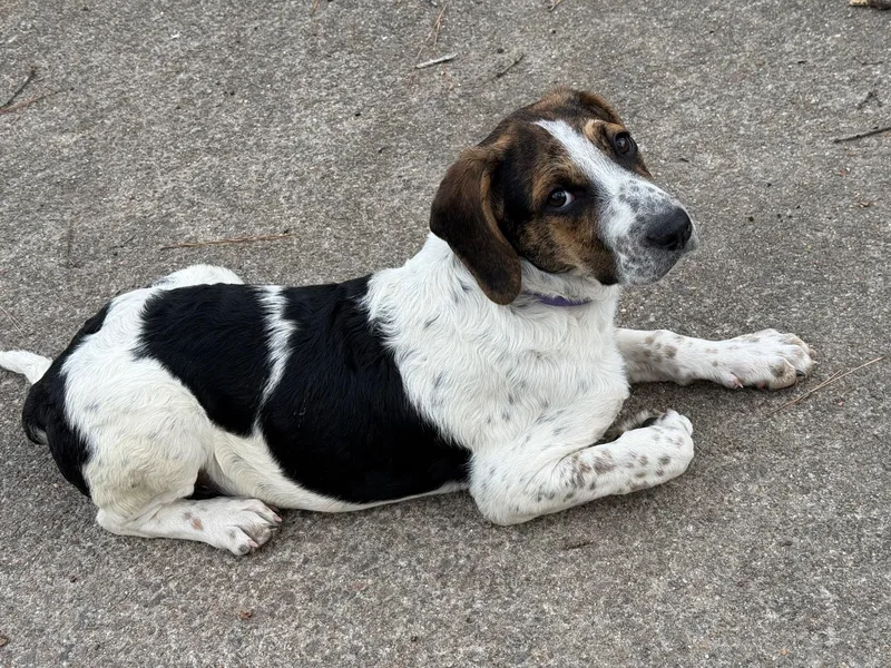 Christine thumbnail 6