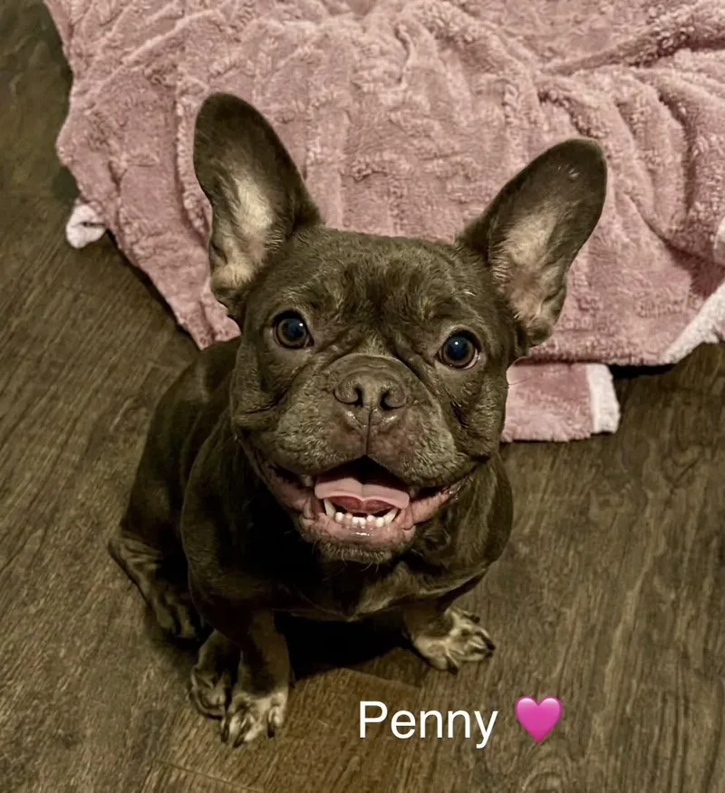 Penny thumbnail 2