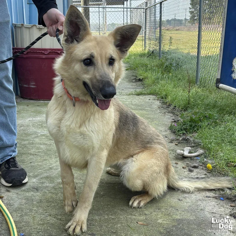 Winn Dixie thumbnail 2