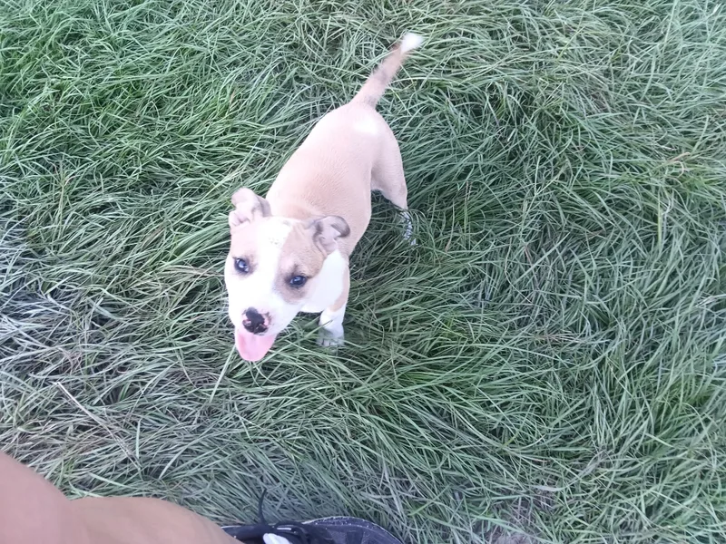 Lexi thumbnail 2
