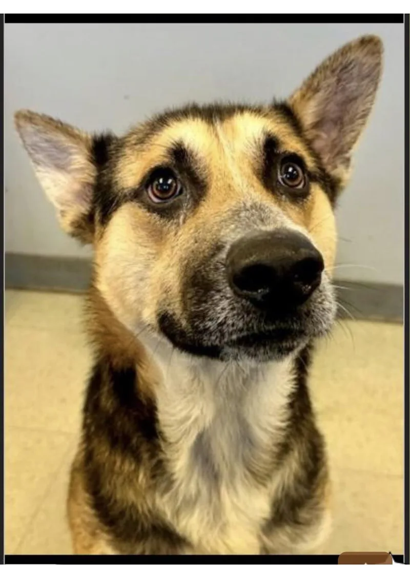 The Gift Of Time thumbnail 2