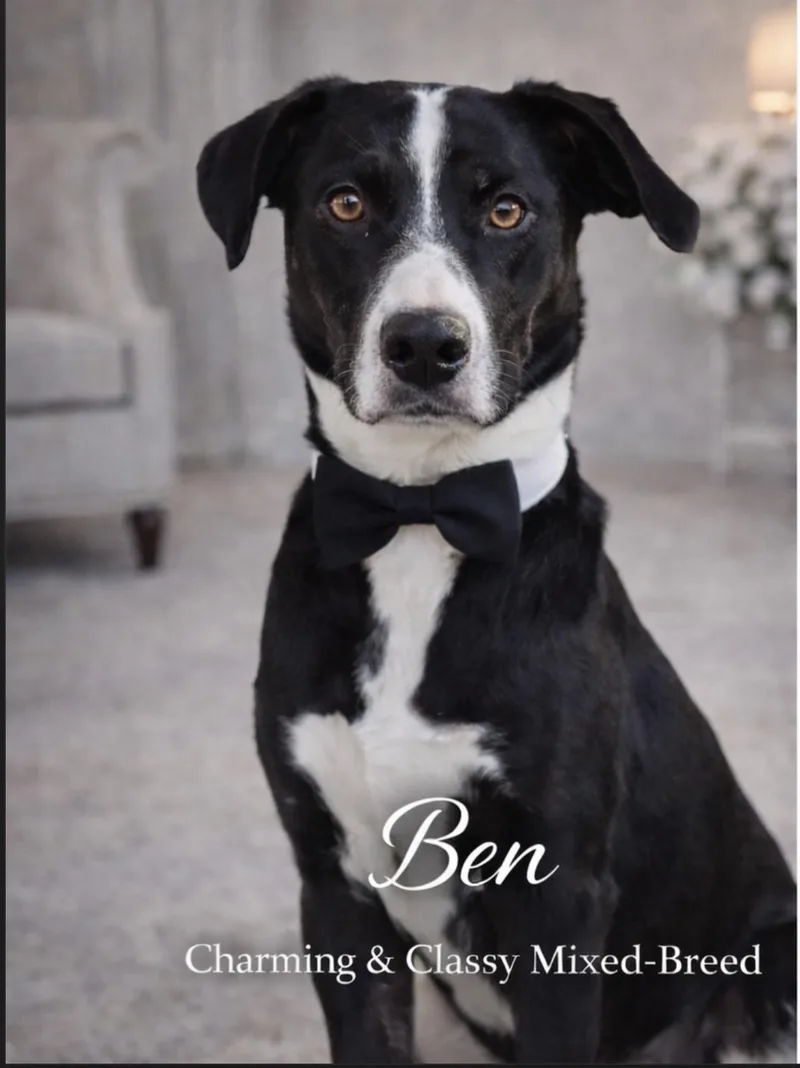 Ben thumbnail 3