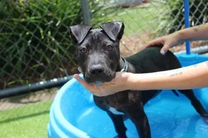 Fleetwood thumbnail 2