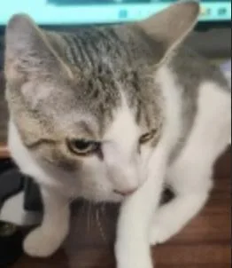 Melvin thumbnail 5