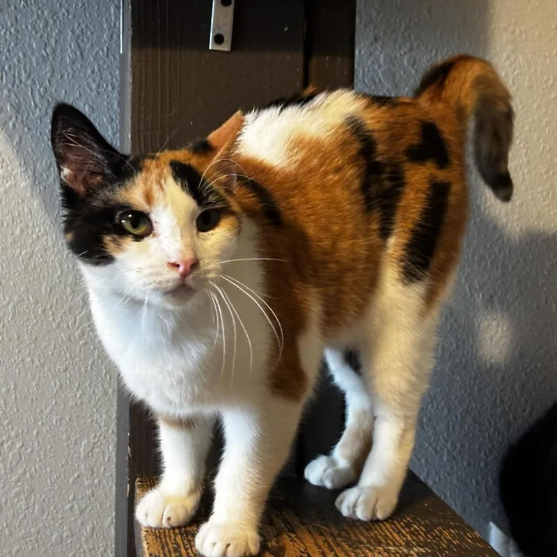 Margarita thumbnail 2