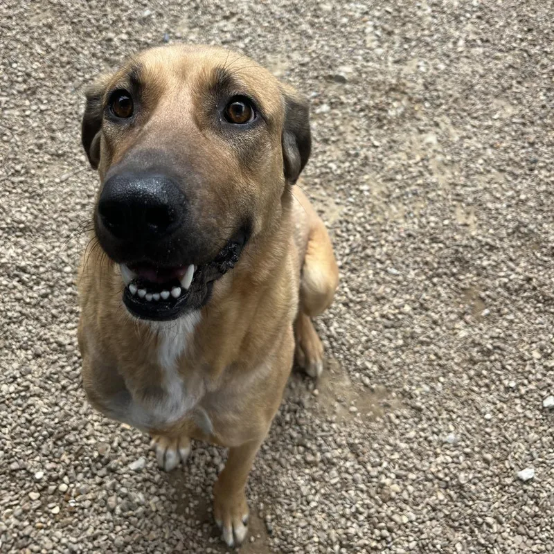 Norma Jean thumbnail 3