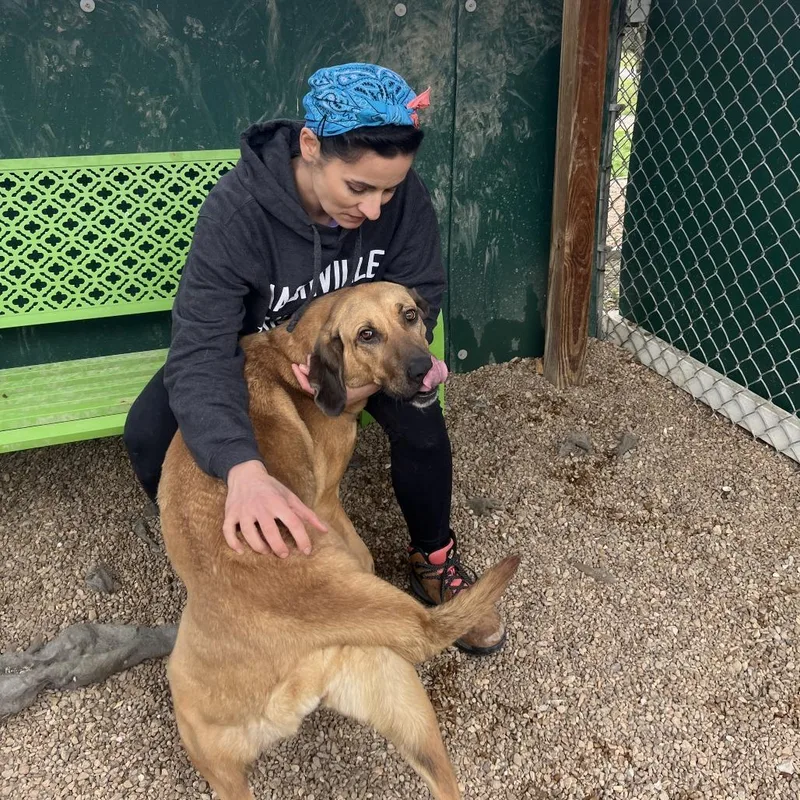 Norma Jean thumbnail 4