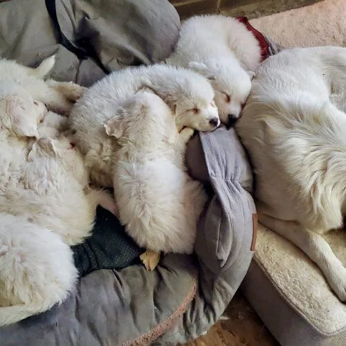 Frostbite thumbnail 2