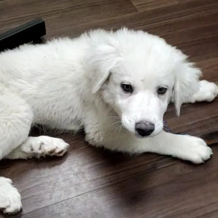 Frostbite thumbnail 3