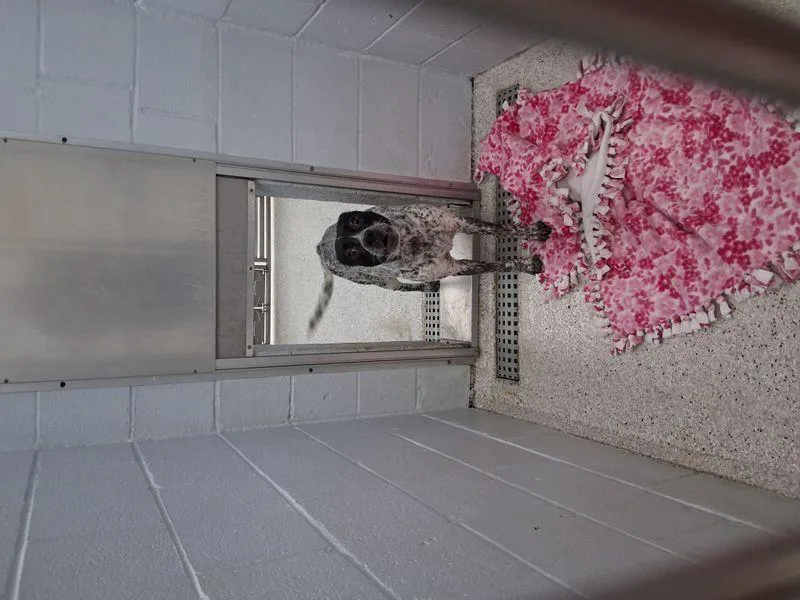 Maggie thumbnail 2