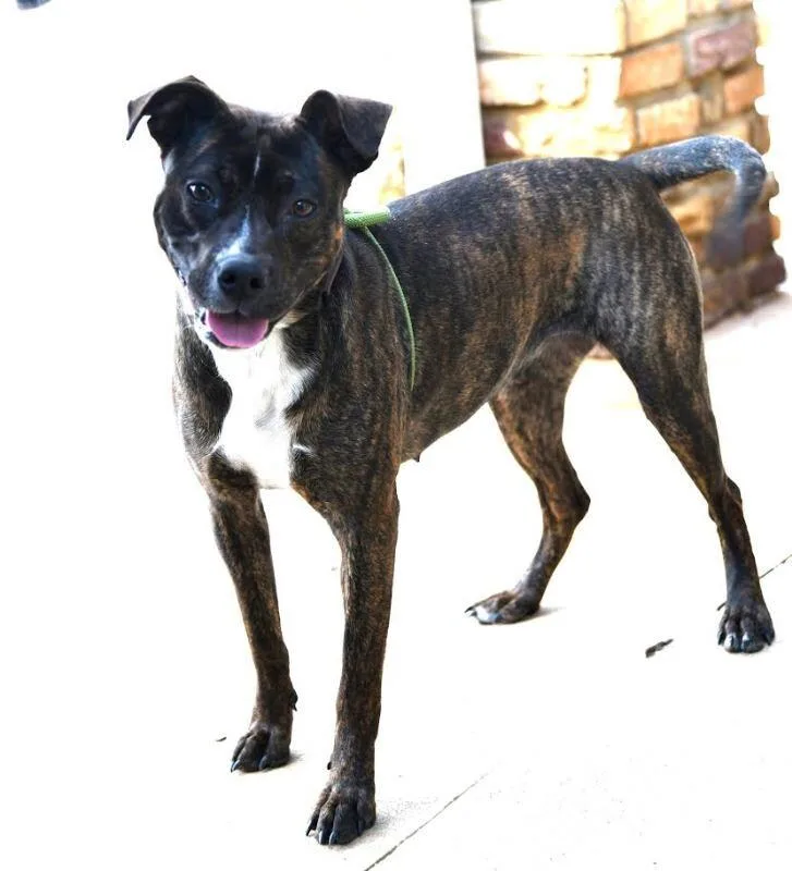 Charlotte thumbnail 3