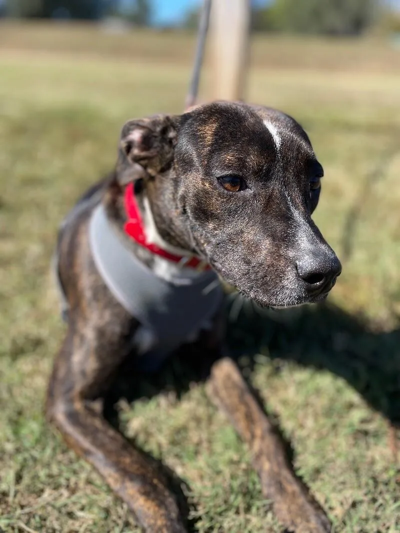 Charlotte thumbnail 4