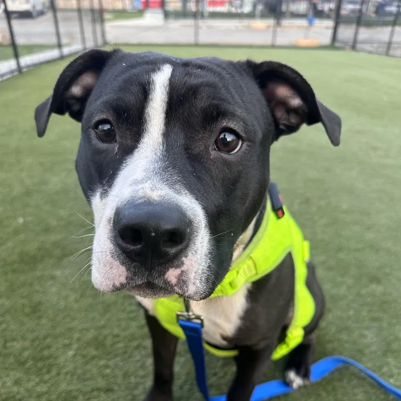 Sasha Polo thumbnail 2