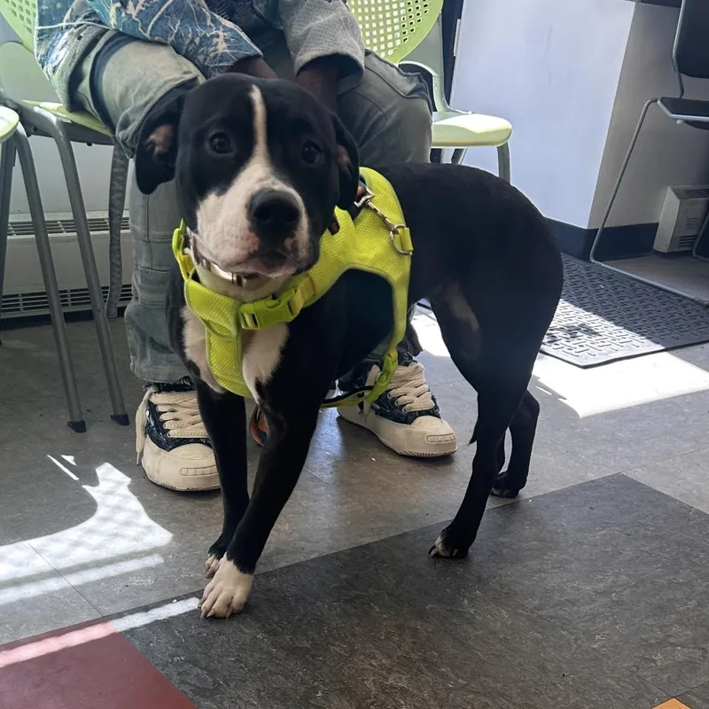 Sasha Polo thumbnail 3