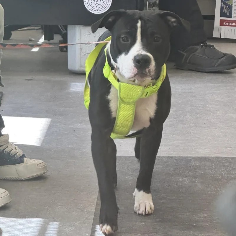 Sasha Polo thumbnail 5