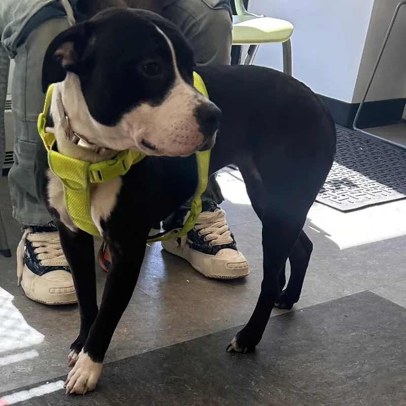 Sasha Polo thumbnail 6