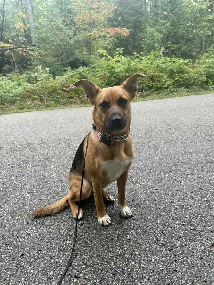 Wednesday thumbnail 2