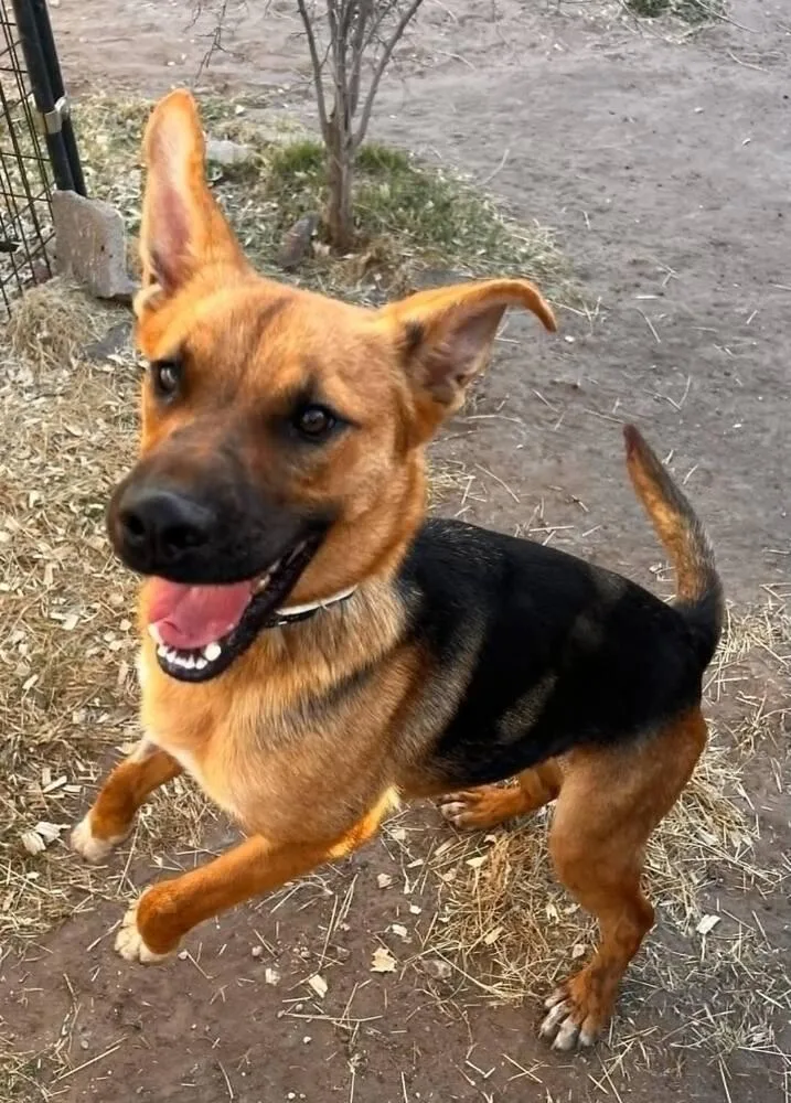 Wednesday thumbnail 4