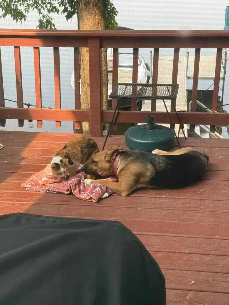 Wednesday thumbnail 5