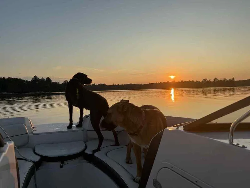 Wednesday thumbnail 6