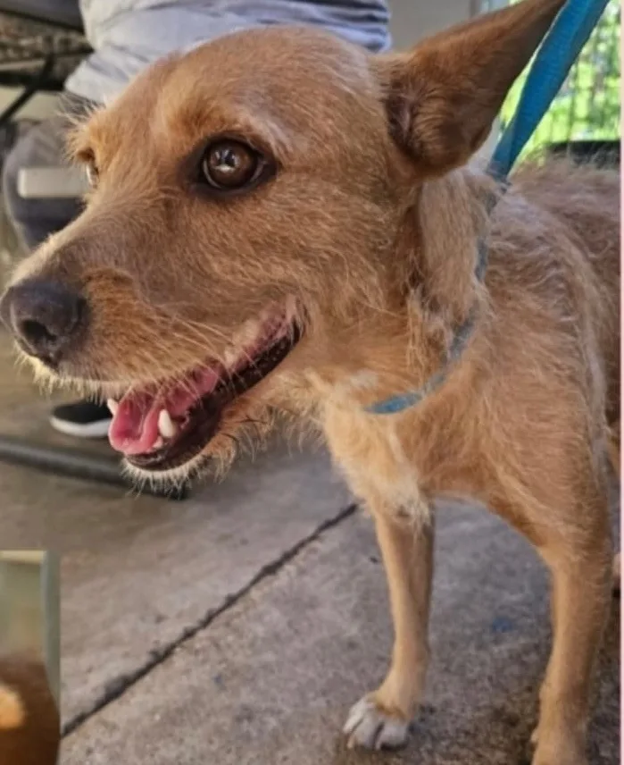 Estefany thumbnail 2