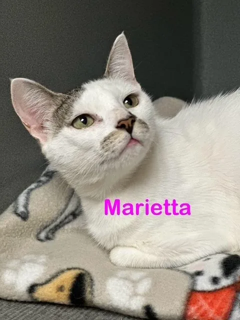Marietta thumbnail 4