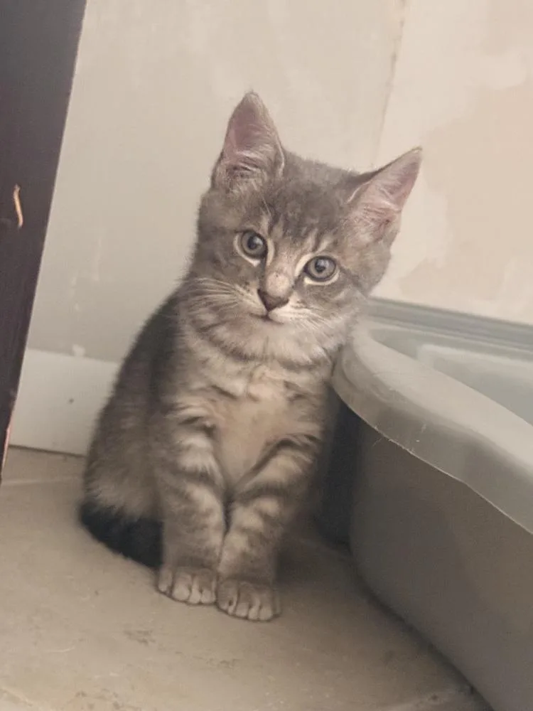 Betty thumbnail 4