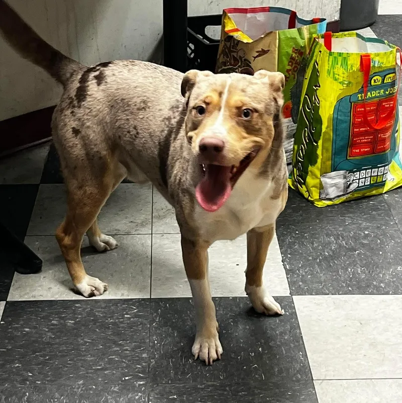 Kristoff thumbnail 2