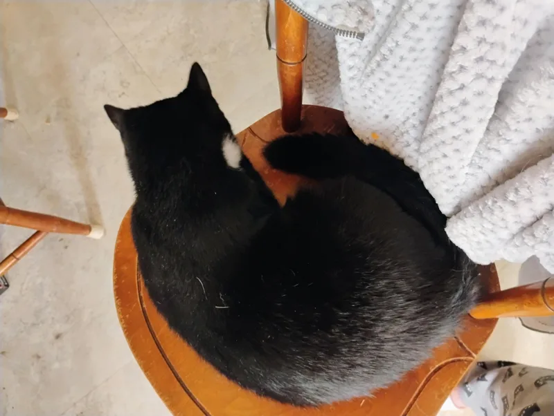 Bootsie thumbnail 6