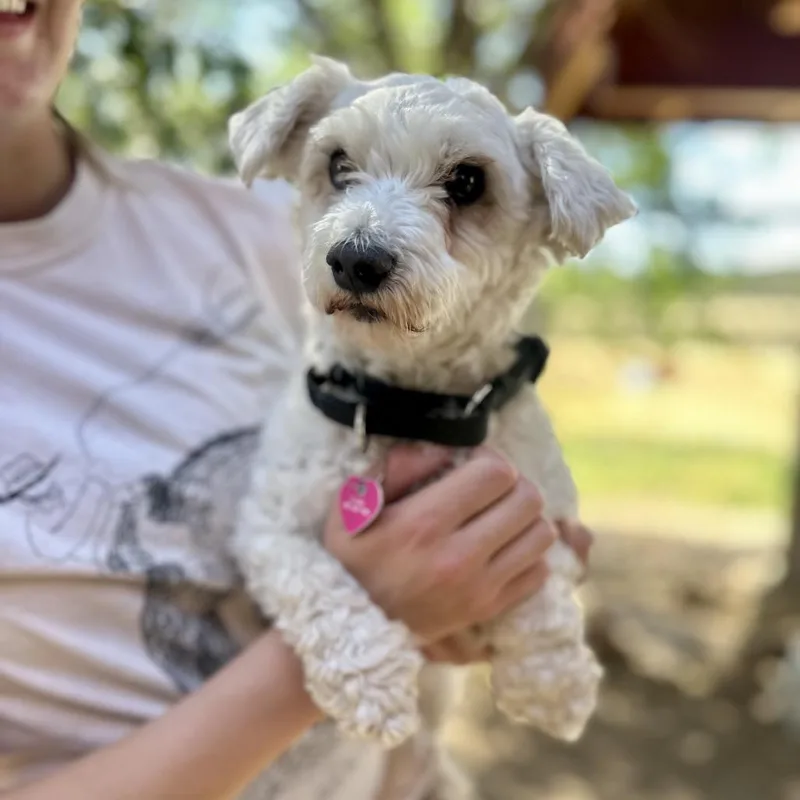 Ethel thumbnail 2