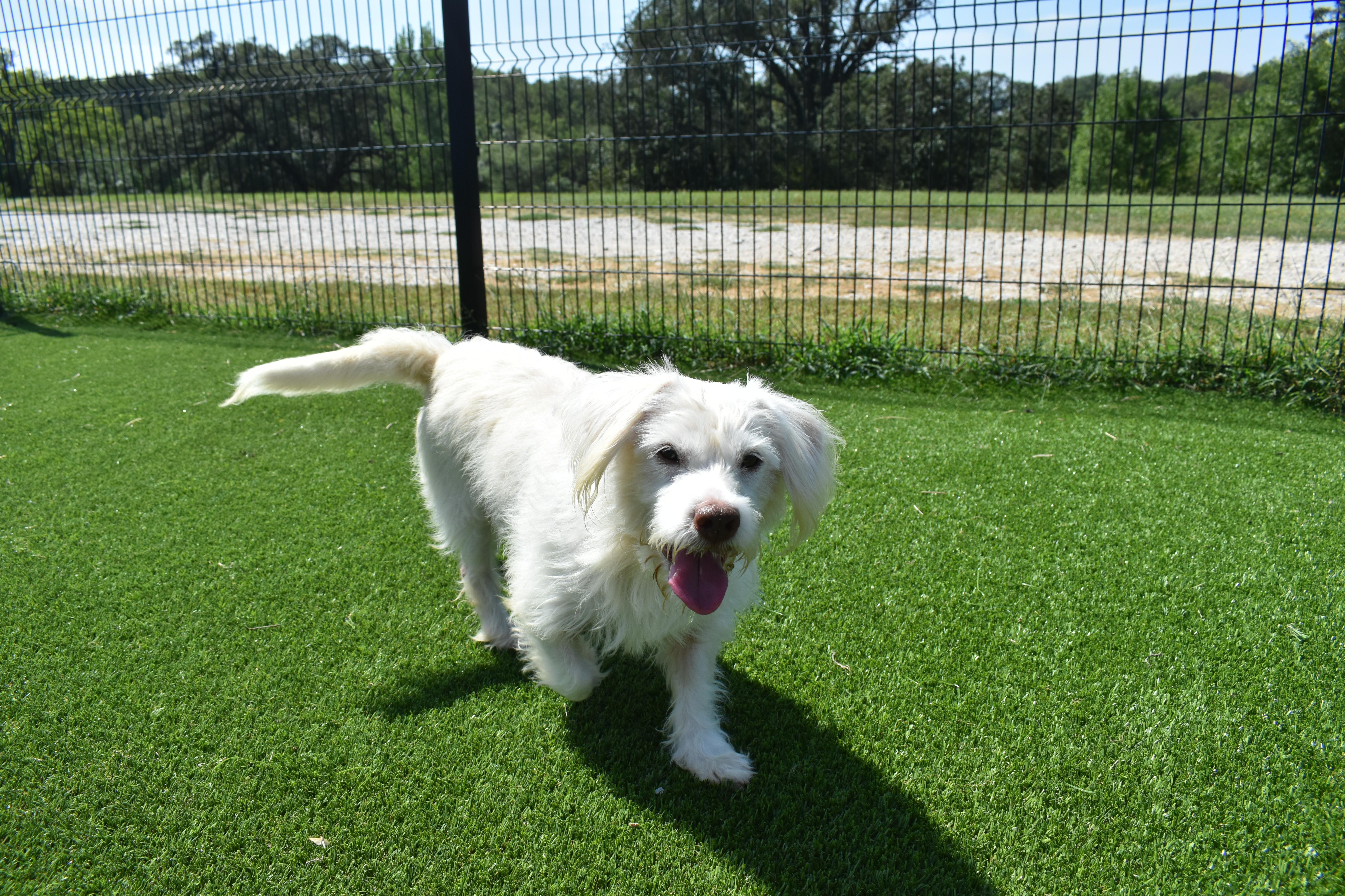 Maddie thumbnail 6