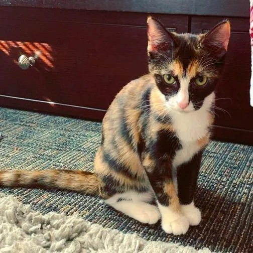 Mystiquebonded With Diego thumbnail 3