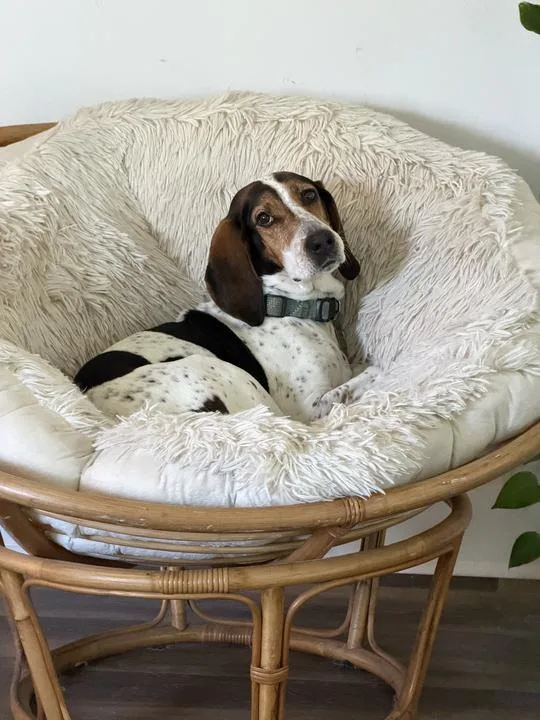 Melly thumbnail 5