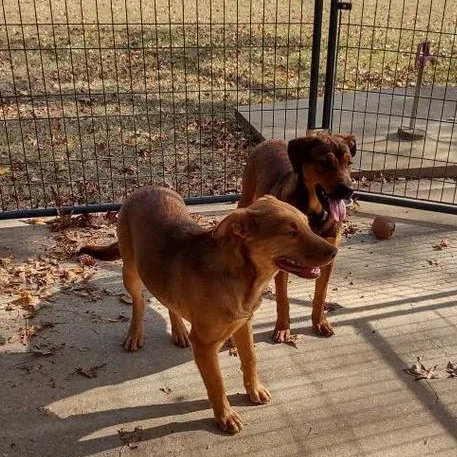 Beethoven thumbnail 2