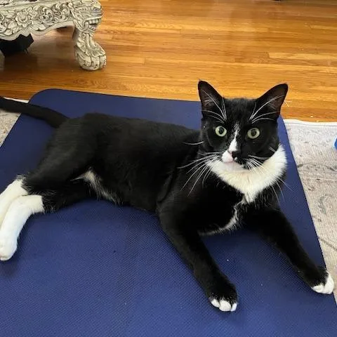 Tony Stark thumbnail 2