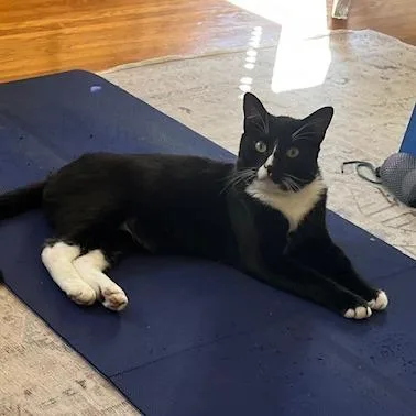 Tony Stark thumbnail 6