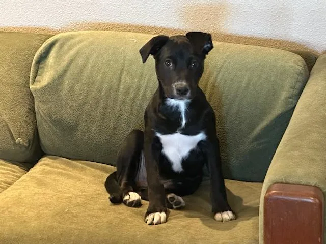 Daisy Mae thumbnail 2