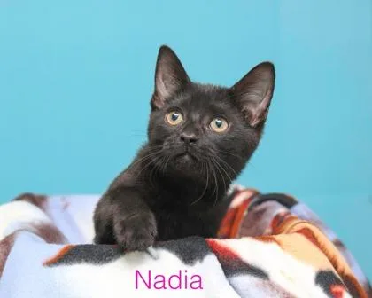 Nadia