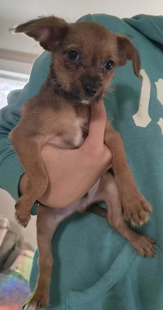 Max