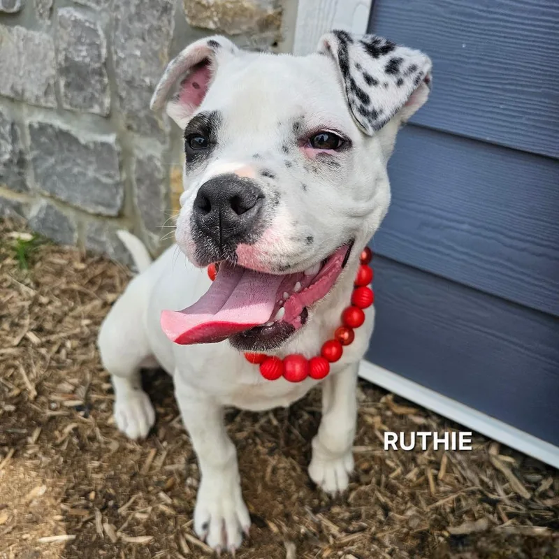 Ruthie