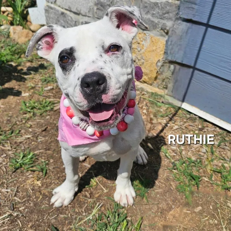 Ruthie thumbnail 2