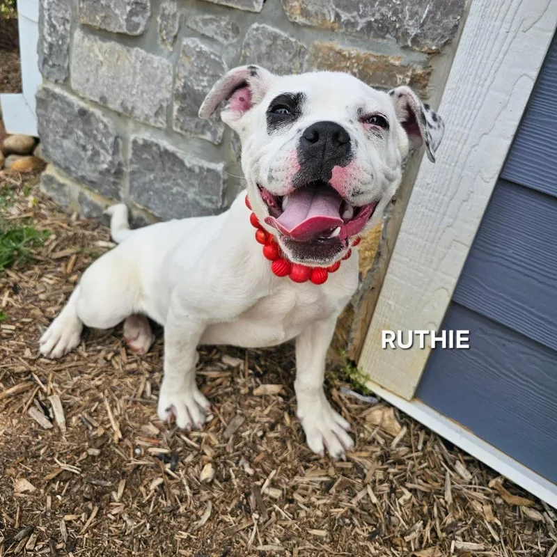 Ruthie thumbnail 3