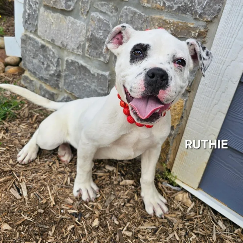 Ruthie thumbnail 5