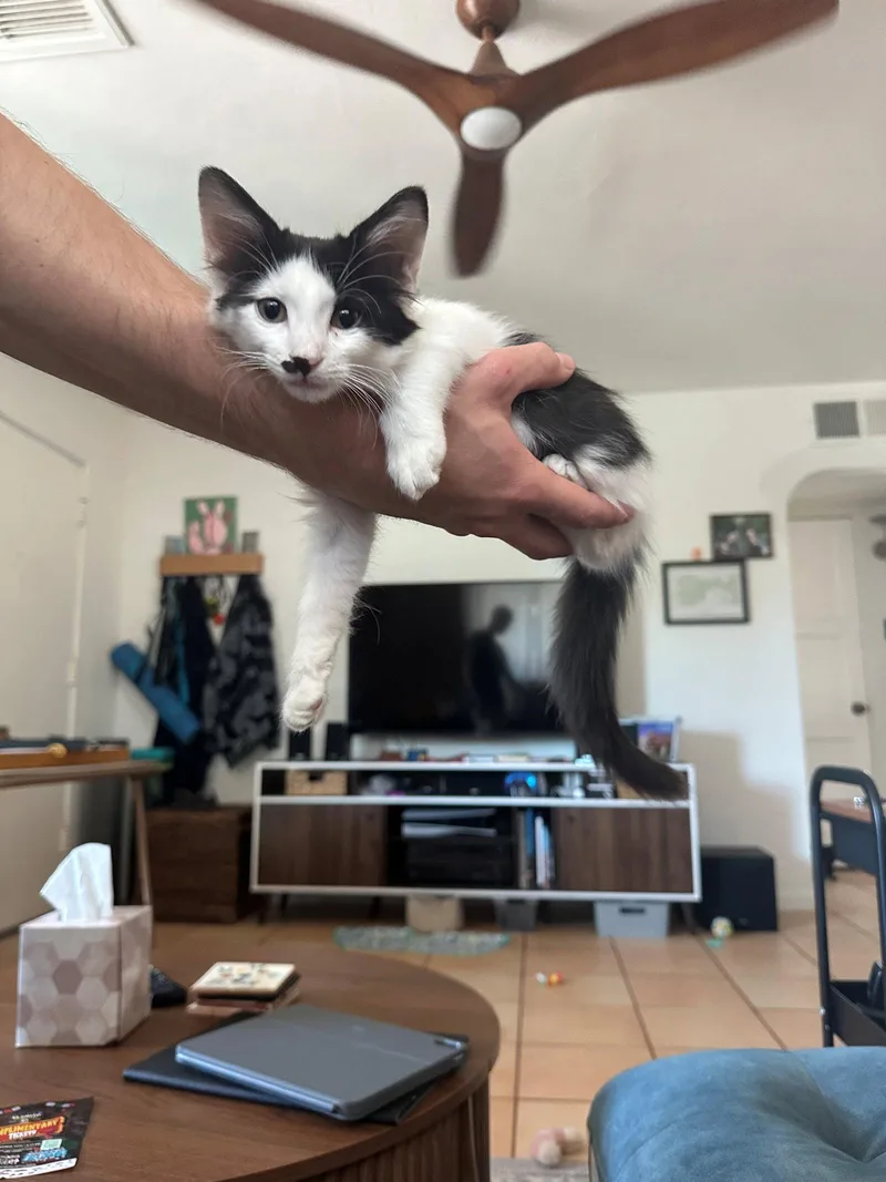 Charlie BONDED with Charlotte thumbnail 3