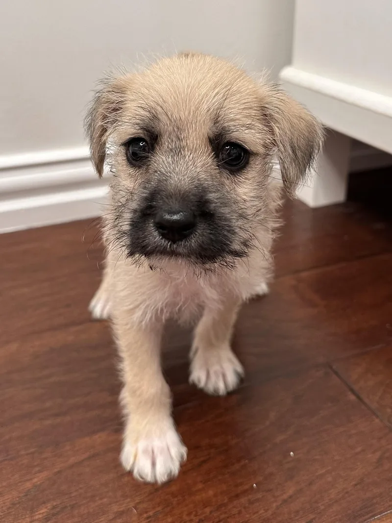 Bailey