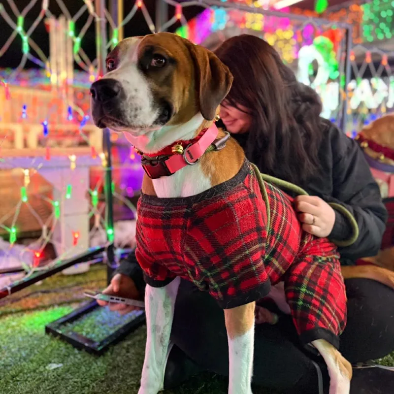 Luna Bug thumbnail 2