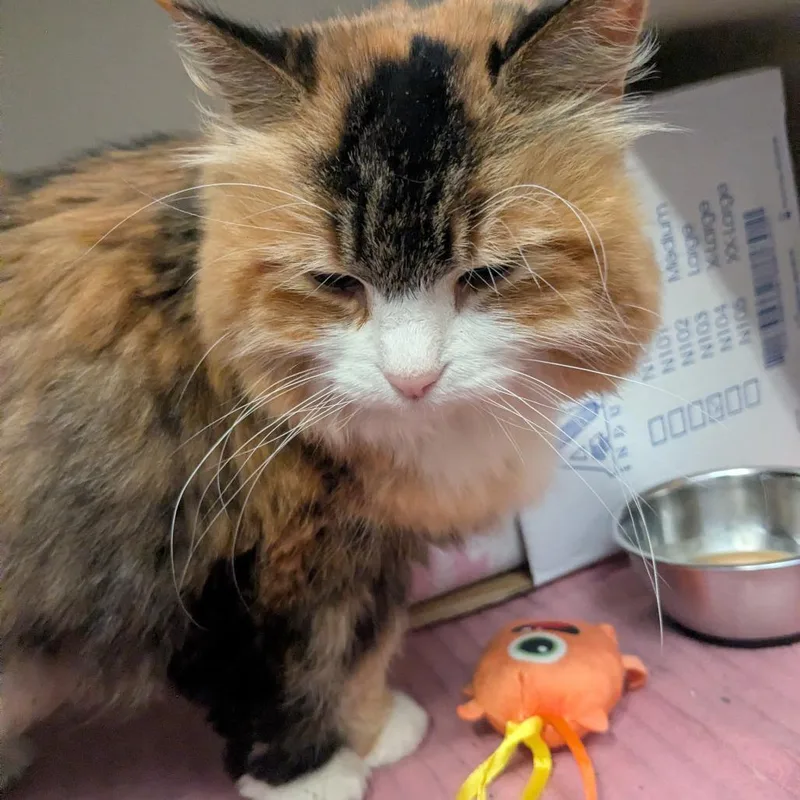 Margaret thumbnail 2