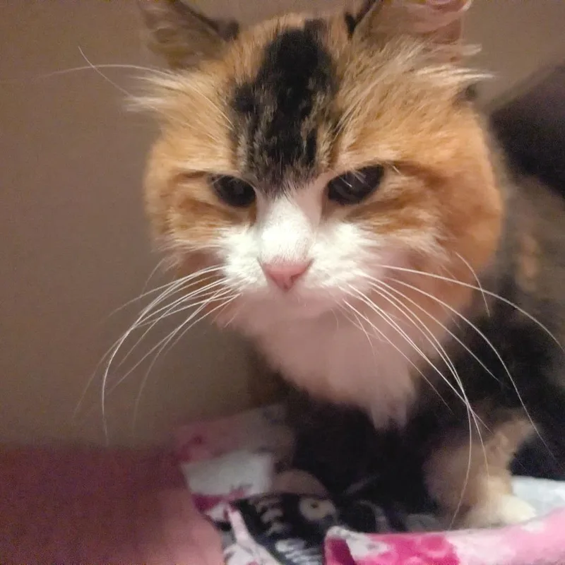 Margaret thumbnail 5