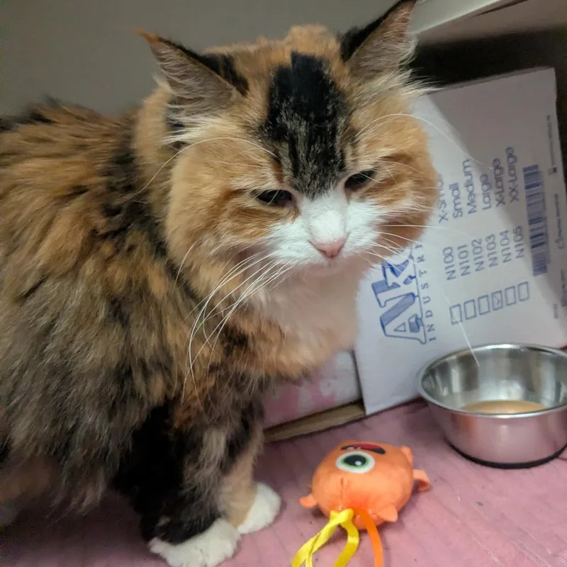 Margaret thumbnail 6