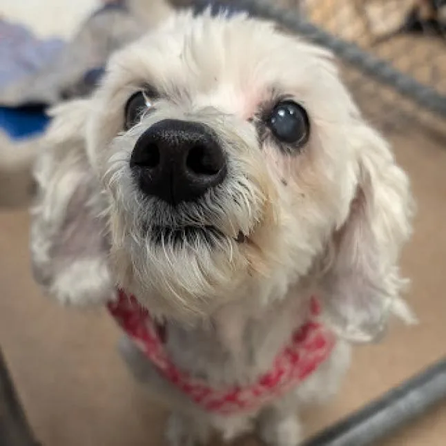Lola thumbnail 4